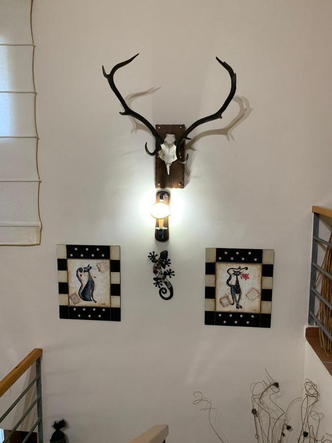 Apartamento Turistico El Esquilon Calzadilla المظهر الخارجي الصورة