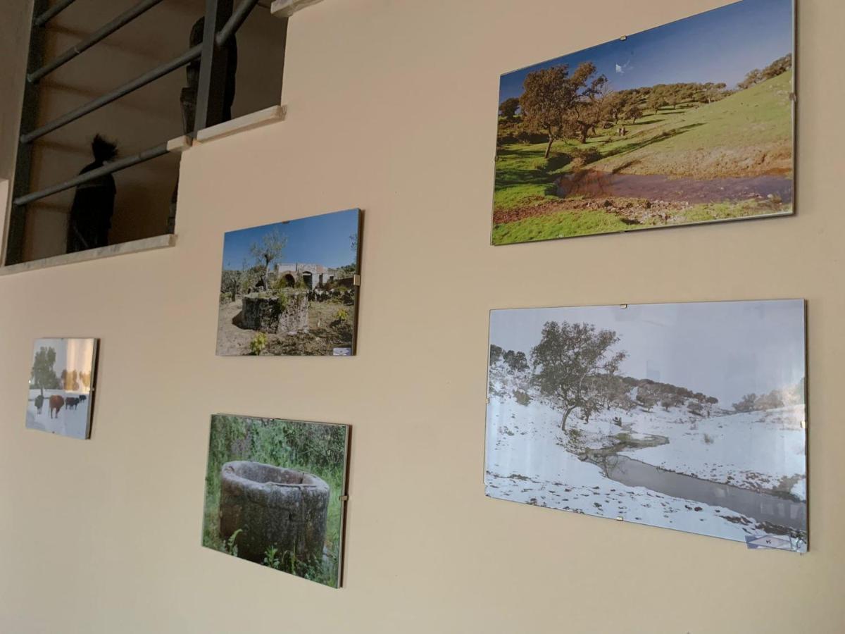 Apartamento Turistico El Esquilon Calzadilla المظهر الخارجي الصورة